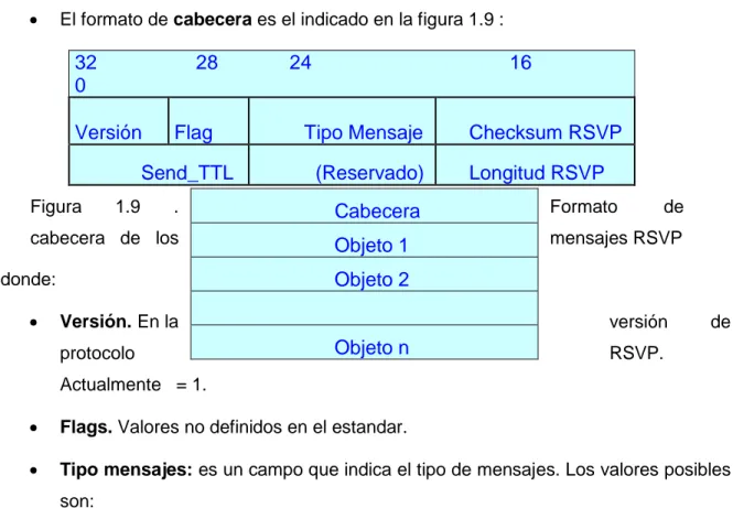 Figura  1.9  .  Formato  de 