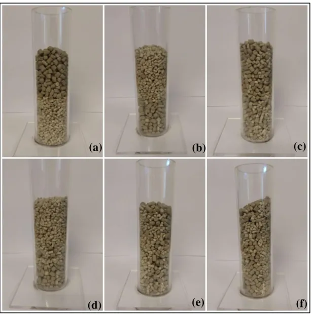 Figura 5-2. Experimentos visuales para la estratificación en un lecho empacado modelo