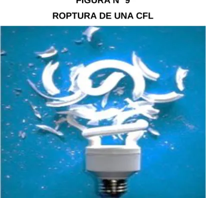 FIGURA Nº 9  ROPTURA DE UNA CFL 