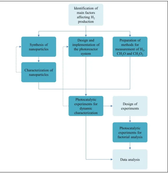 Figure 1. Flowchart with the general methodology. Blue: experimental stage; light blue: analytical stage