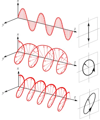 Figure 1.2.1: Fundamental states of polarization of an electromagnetic wave (Adapted from [27]).