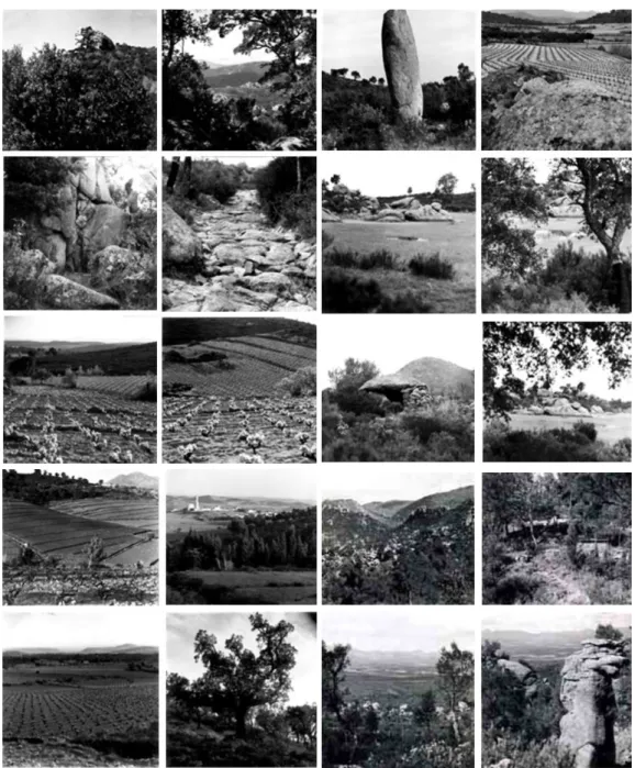 Fig. 05.   Serie de fotografías del territorio de Espolla encargadas por J.A.Coderch a Catalá Roca en  1966