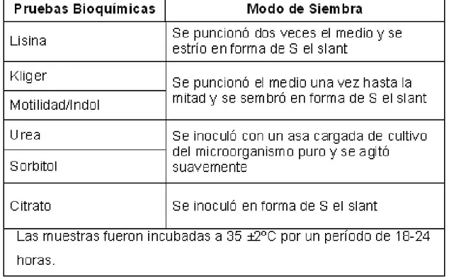 Tabla I. Modo de siembra para las diferentes pruebas bioquímicas utilizadas.