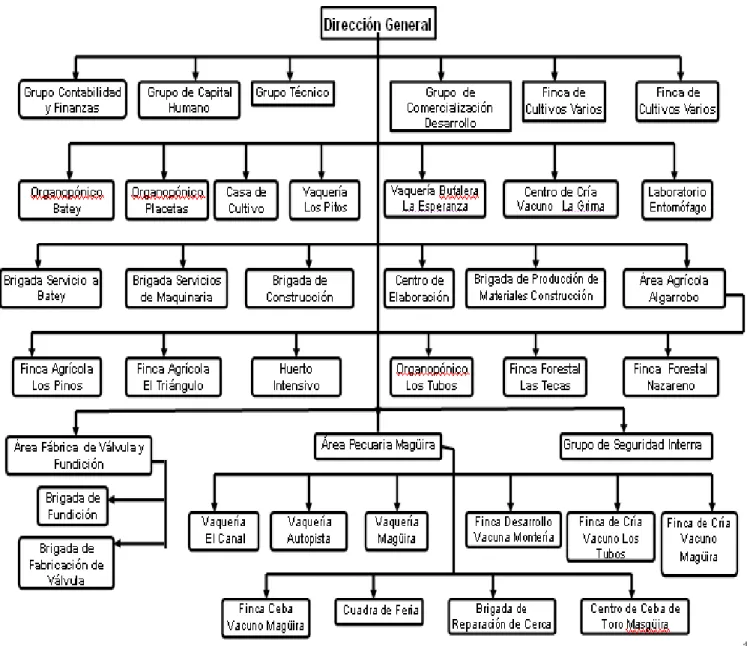 Figura 3.1.2: Organigrama de la Unidad Empresarial de base Granja Agroindustrial  “Los Pitos” 