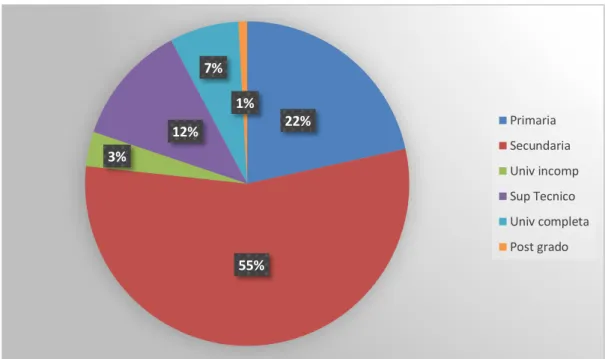 Figura 12. Niveles de educación de la Avenida Casuarina datos tomados de la encuesta, elaborado por las  autoras