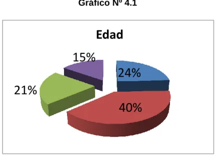 Gráfico Nº 4.1 