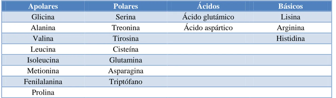 Tabla 1.3. Aminoácidos polares, apolares, básicos y ácidos.