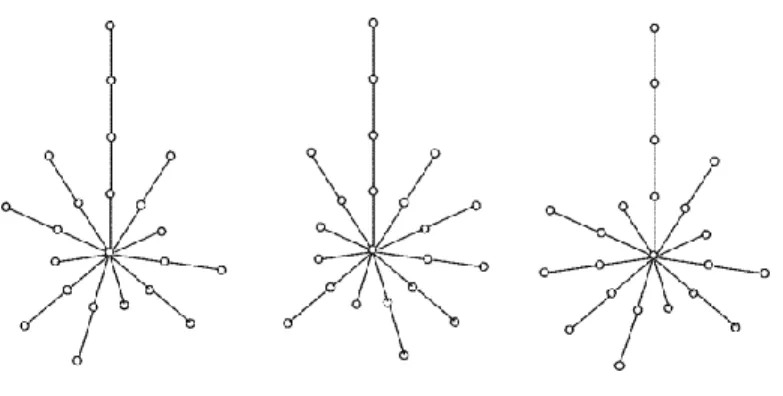 Figura 1.9. Grafos tipo estrella
