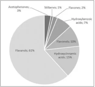 Fig.  1.  Distribution  of    phenolic  classes  concentrations in the PBWS (Barbosa-Pereira et al.,  2013) 