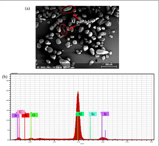 Figure 1-12: (a) Micrograph of the analyzed particle. (b) EDS analysis of an aluminum  particle
