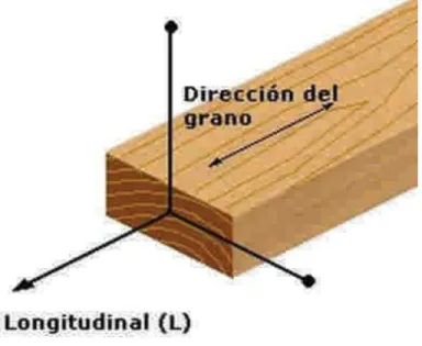 Fig. 1.4. Eje longitudinal en una pieza de madera. (Guzmán, 1990).