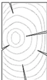 Fig. 2.2. Frendas de secado. (Herrero, 2003)
