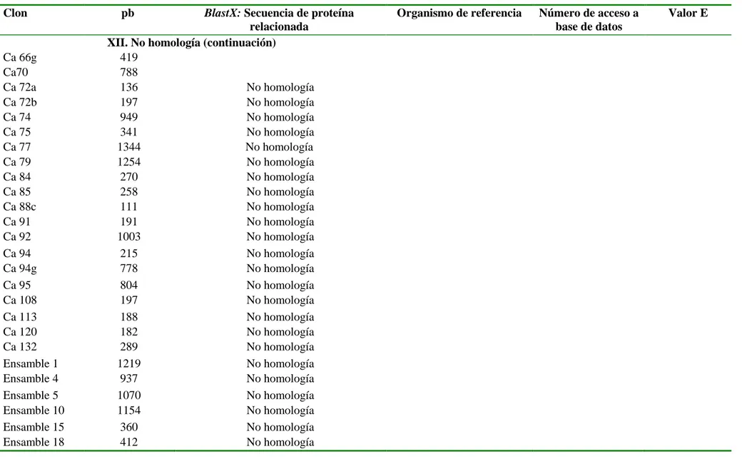 Tabla  3.  Posible  identidad  y  características  de  las  secuencias  seleccionadas  de  la  biblioteca  sustractiva  por  supresión,  expresadas  en  hojas  del  cultivar  resistente ‛Calcutta  4’  infectadas con  Mycosphaerella  fijiensis  en una etapa