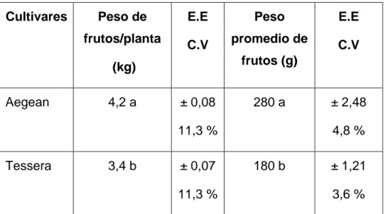 Tabla 6. Peso de frutos por racimo en cultivares de tomate  Cultivares  Peso de frutos por racimo (kg) 