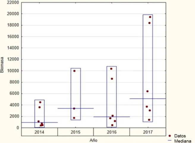 Figura 7. Biomasa total (g/100 m 2 ) en los años de estudio. 