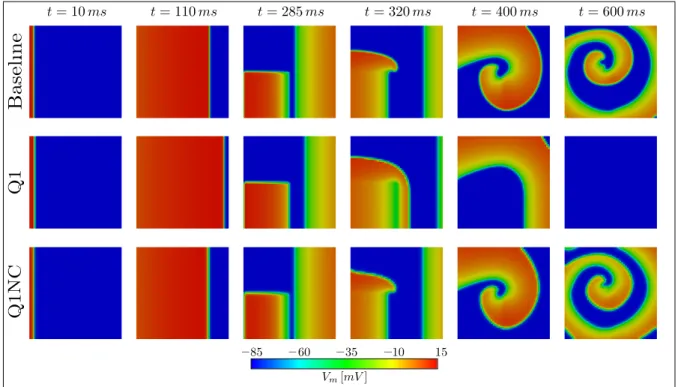 Figure 2.5. Spiral generation simulation in a 2D slab. Due to the faster CV the Q1 element is incapable of generate the spiral wave.