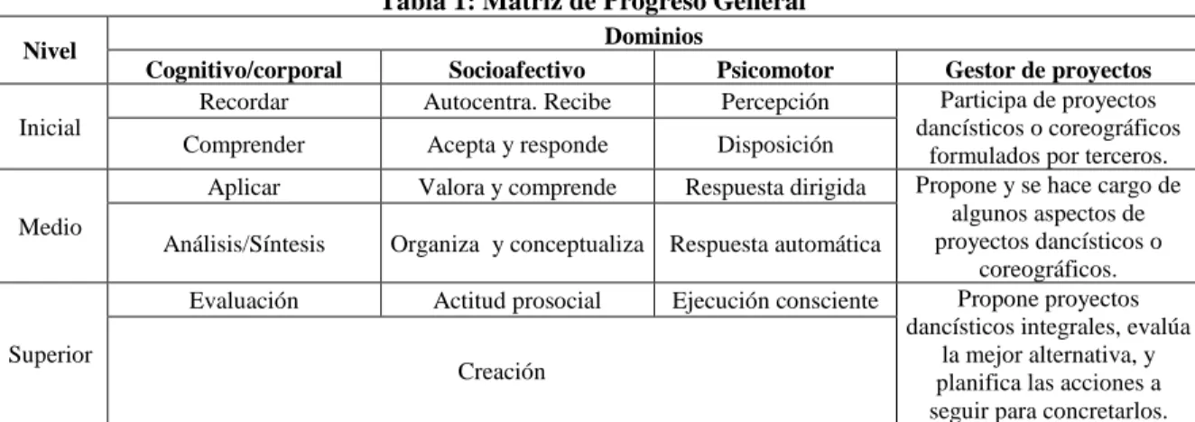 Tabla 1: Matriz de Progreso General 