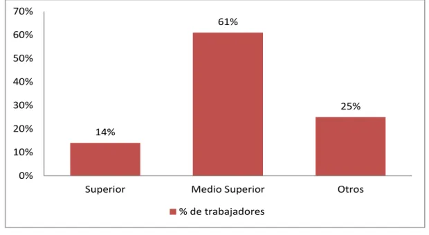 Figura 2.4: Nivel de escolaridad 