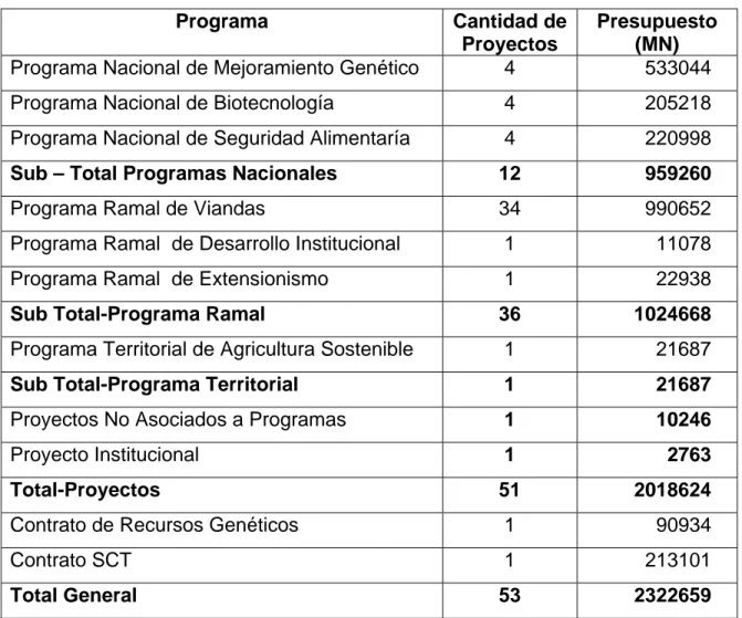 Tabla 3. Proyectos en ejecución en el 2007. 