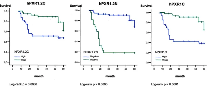 Table 4: Fisher's exact test between RXRs cytoplasmic expression and different clinicopathological data of the patients presenting  infiltrative carcinomas.