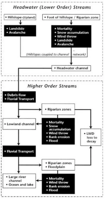 Figure  2.  Flow  Diagram  for  a  Wood  Budget  in  a  Watershed.  Open  squares  represent  geomorphic  areas  related  to  locations  for  the  sources  and  storages  of  wood,  and  filled  squares  represent  processes that  affect  wood transport  (
