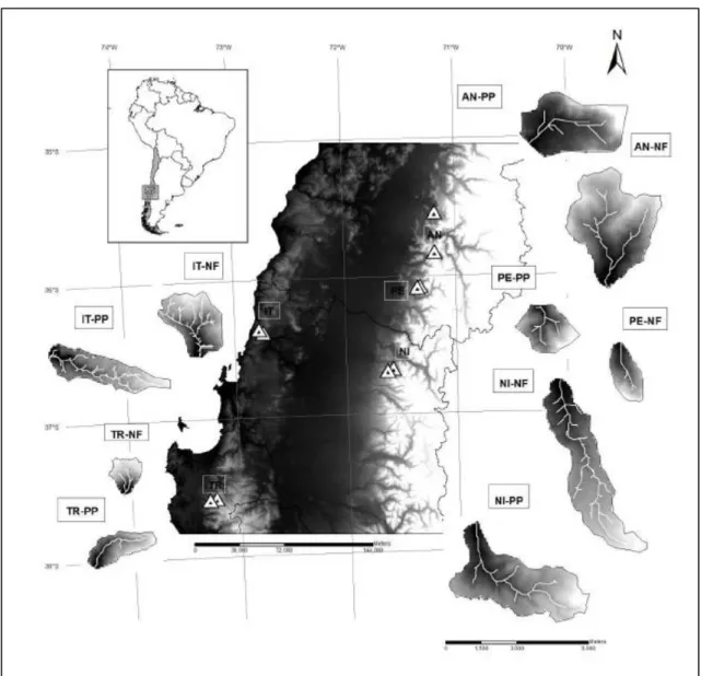 Figure  1. Location  of the  studied  sites  (PP and  NF refer to pine  plantation  and native    forest  basins,  respectively) 