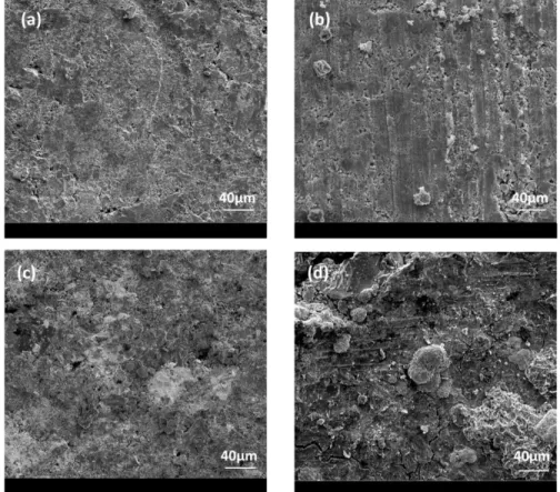 Figure 2.4. SEM images acquired from an un-doped SnSe tablet. (a) center and (b) edge of the  sample before annealing