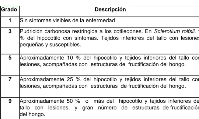 Tabla 2. Escala para la evaluación de la severidad de la enfermedad causada por  M. phaseolina en frijol común 