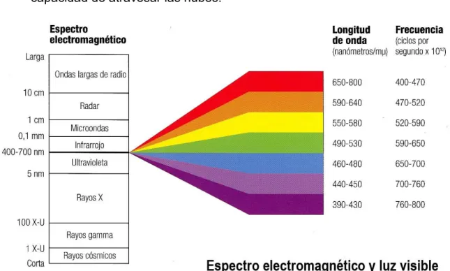 Fig. 4. Espectro Electromagnético y Luz Visible. 