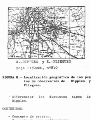 FIGURA 2.- Corte transversal de un Ripple.