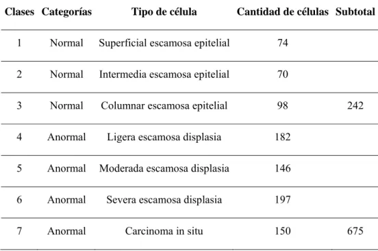 Tabla 2. Distribución de la base de datos Herlev. 