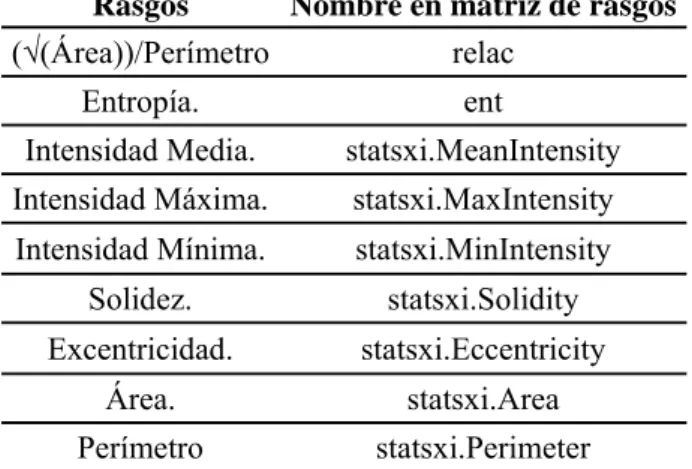 Tabla 3. Conjunto de rasgos 1 utilizado en la clasificación, relacionado con la forma