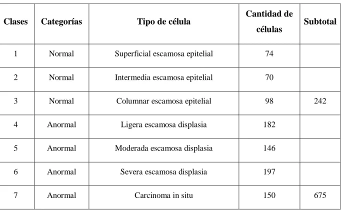 Tabla 2. Codificación de las 7 clases. 