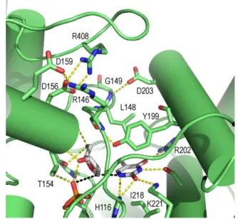 Fig. 6. Time evolution of the overall interaction energy between the transition state of the reaction and either wild-type (blue) or D203A (magenta) human TP during the molecular dynamics simulations.