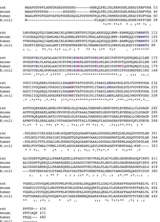 Fig. 8. ClustalW multiple sequence alignment of the amino acid sequences of mouse, rat, human and E