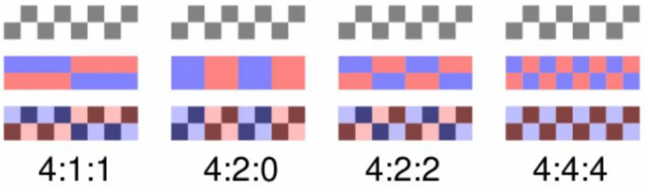 Figura 1.2: Ejemplo de los distintos niveles de submuestreo. Fuente (Hanhart and Rerabek, 2013) 