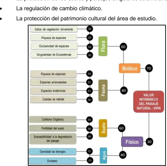 Figura 1. Modelo Valor Intrínseco del Paisaje Natural. Fuente: Instituto Amazónico SINCHI
