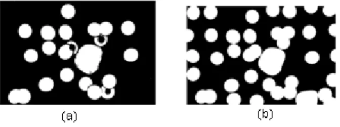 Figura 1.8 Segmentación de una imagen de hematología celular empleando la transformada watershed: (a)  eliminando las células que tocan los bordes y (b) sin eliminar las células que tocan los bordes