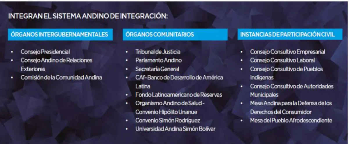 Figura 4. Estructura de la CAN. 