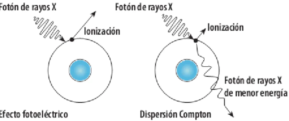 Figura 3: Procesos de interacción de los Rayos X con la materia  1.3 Imagen digital. 