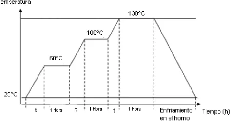 Figura 2. Gráfica del secado de los electrodos 