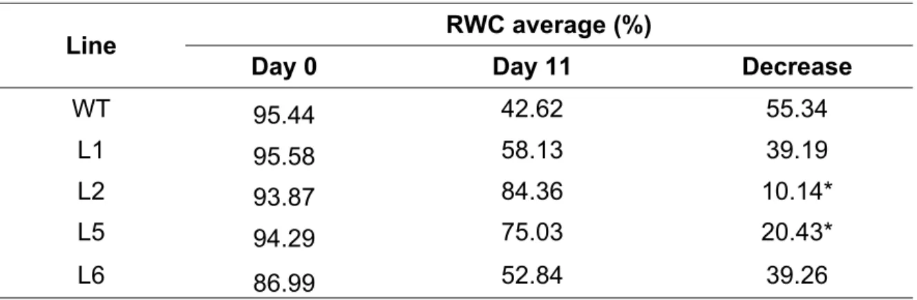 Table  1.  Relative  water  content  (RWC)  in  transgenic  lines  with  transcription  factor CsMYB61 and wild type plants (WT) under drought stress