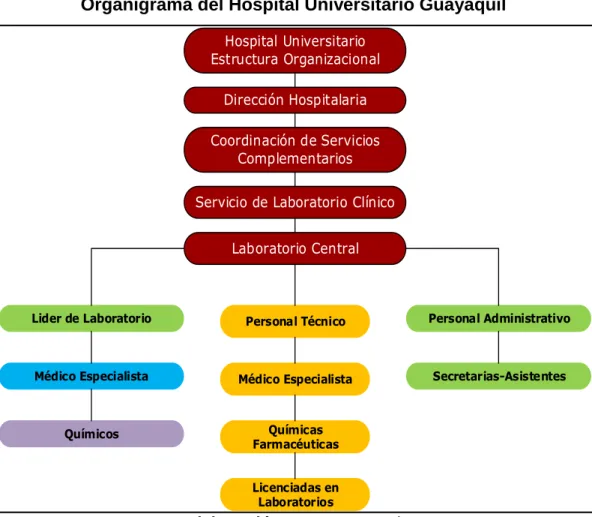 GRÁFICO Nº 2 