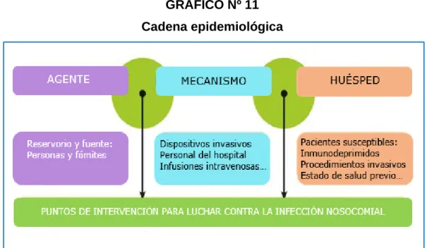 GRÁFICO Nº 11  Cadena epidemiológica 