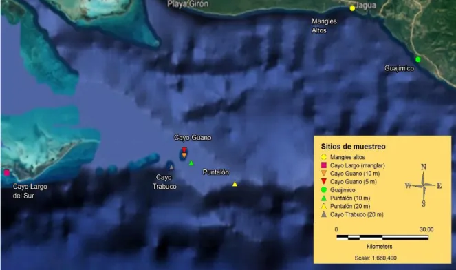 Figura 3. Región sur central de Cuba. Puntos de muestreo seleccionados para la cuantificación de  la abundancia de dinoflagelados béntonicos potencialmente tóxicos 