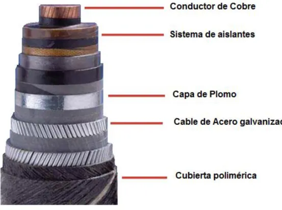 Figura 2: Cable OF