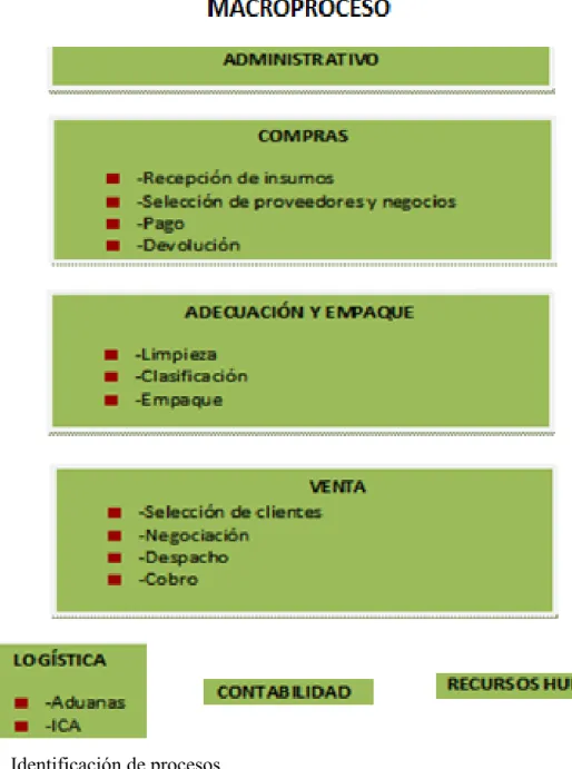 Figura 6. Identificación de procesos
