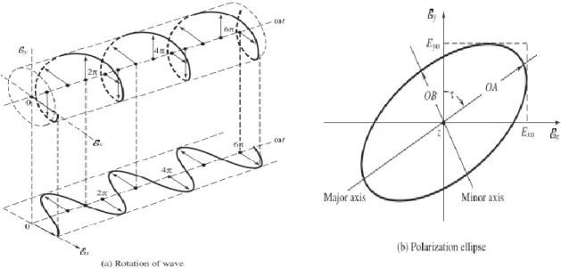 Figura 1.3. a) Diferentes trazos descritos por una onda en el tiempo y b) polarización  elíptica