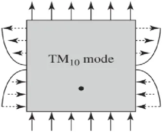 Figura 1.14. Efecto de borde en un parche rectangular para el modo TM 10 . 