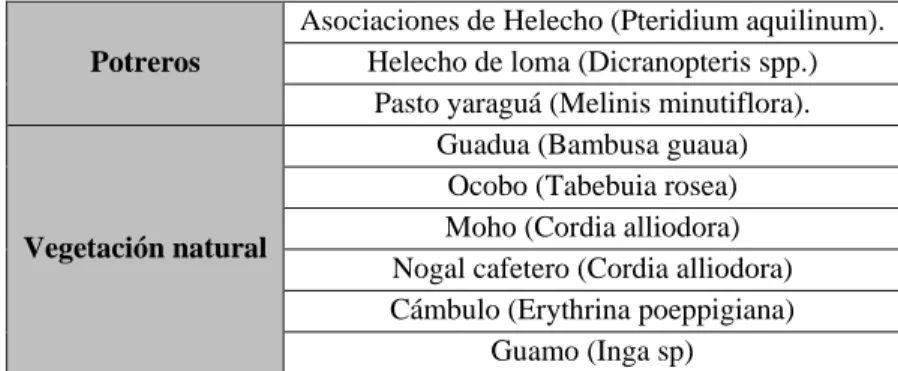 Tabla 34 Especies Vegetales según tipo de cobertura. Fuente: Caracterización del Medio Biótico Subcuenca  Río Guaduero